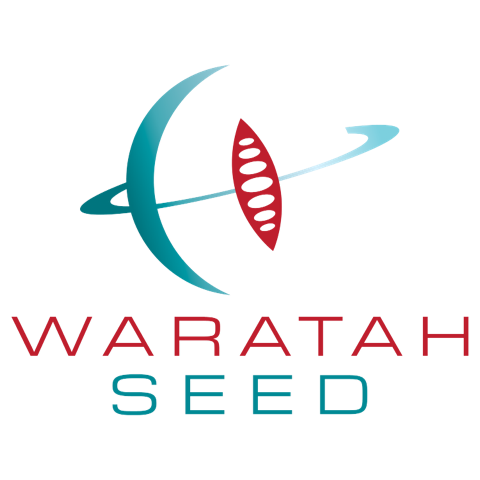 Waratah Seed